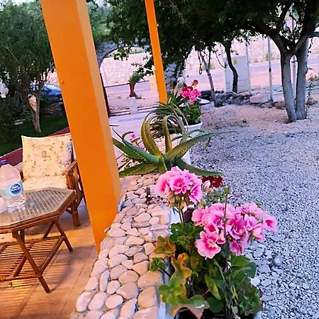호텔 La Bonita